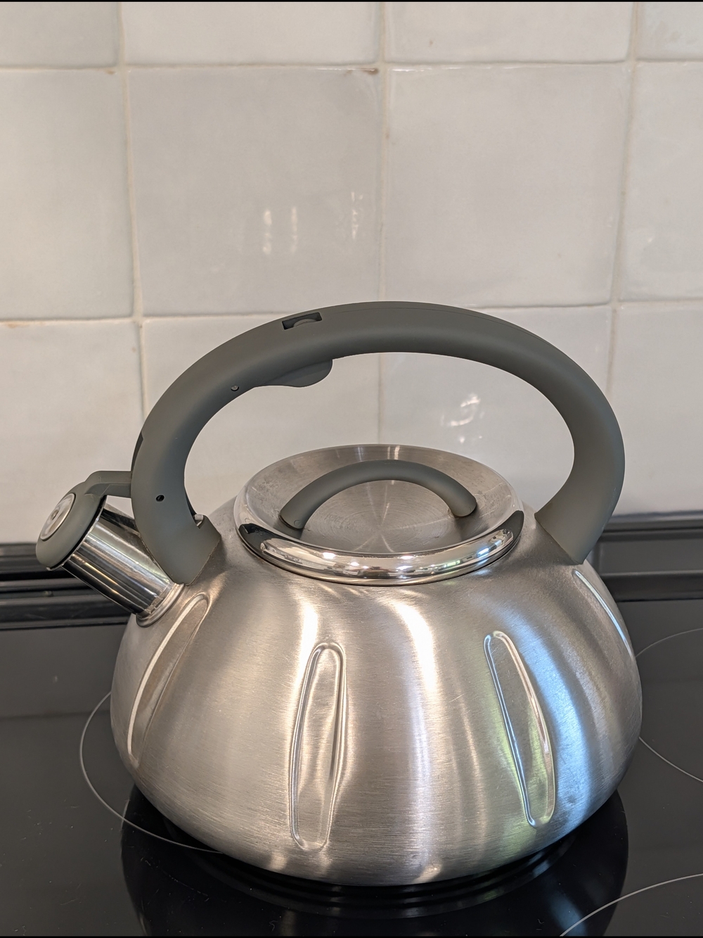 Stainless Steel Whistling Tea Kettle with Gray Handle